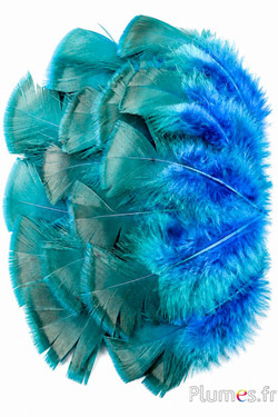 Dindon bronze blanchi - 5-15 cm - turquoise-caramel